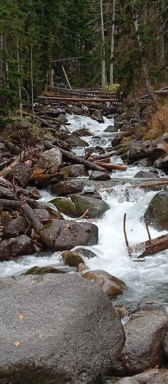 Сердце гор: из Пятигорска - в Домбай (.)