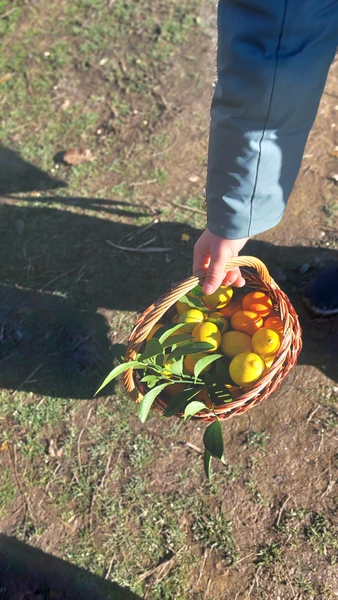 если интересен нестандарт в визуализации и восприятии эмоций-Вам сюда! наше 2 января и супер -день с супер-организатором тревел путешествия!