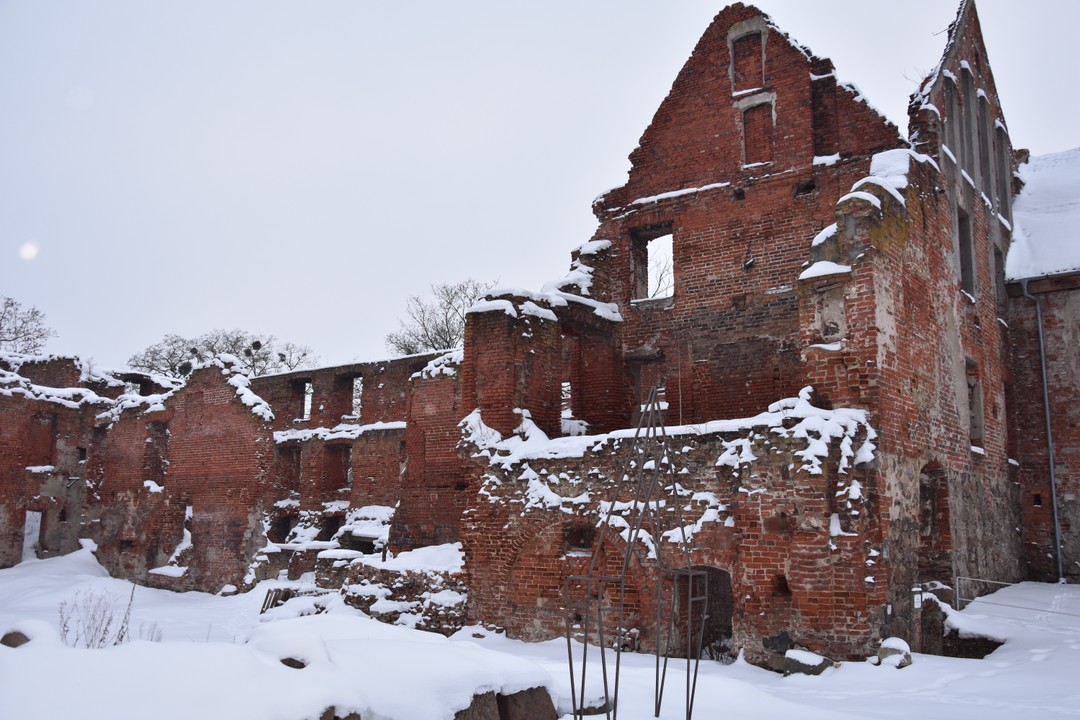 отличный рассказчик. с юмором. рассказал даже больше чем заявлено в программе,потому что проехать,например,мимо ГроссЕгерсдорфа и не