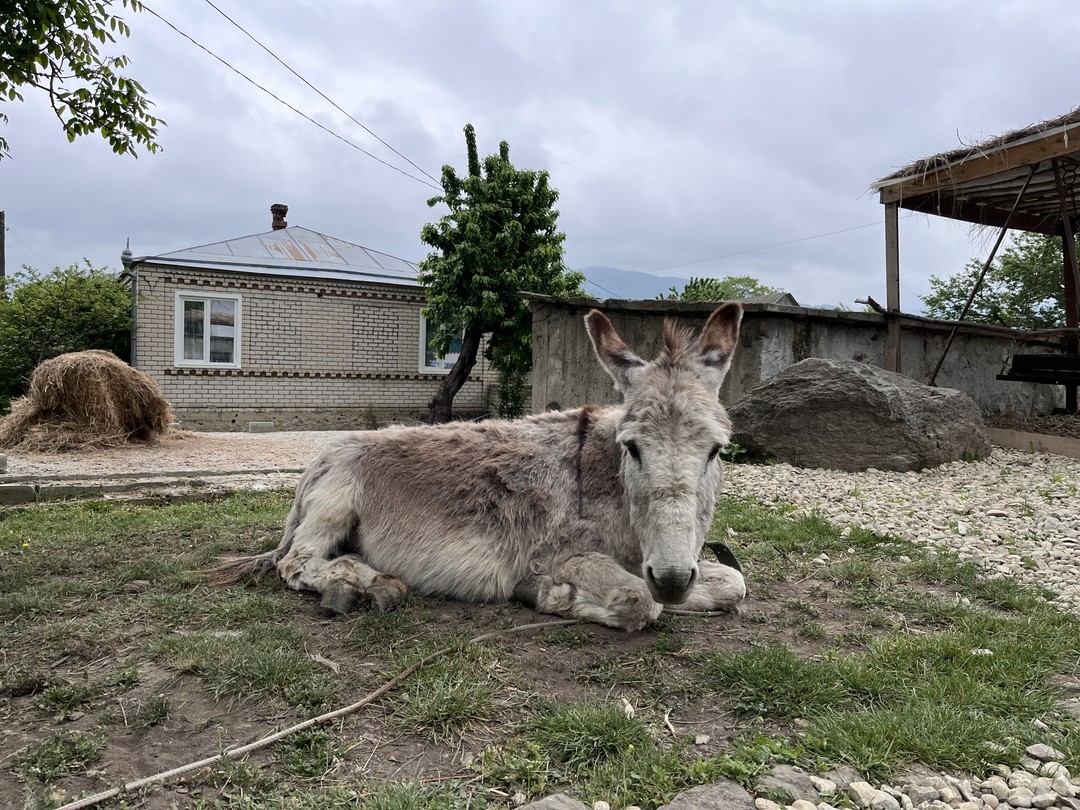 Ездили в тур с гидом Кемалем и остались очень довольны. Кемал - отличный рассказчик, много знает