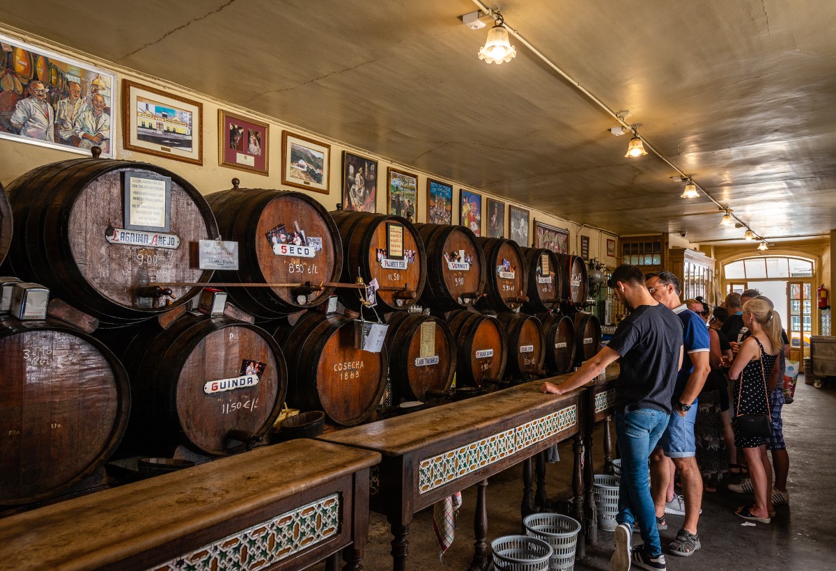 Тапас-прогулка по Малаге (10/11)