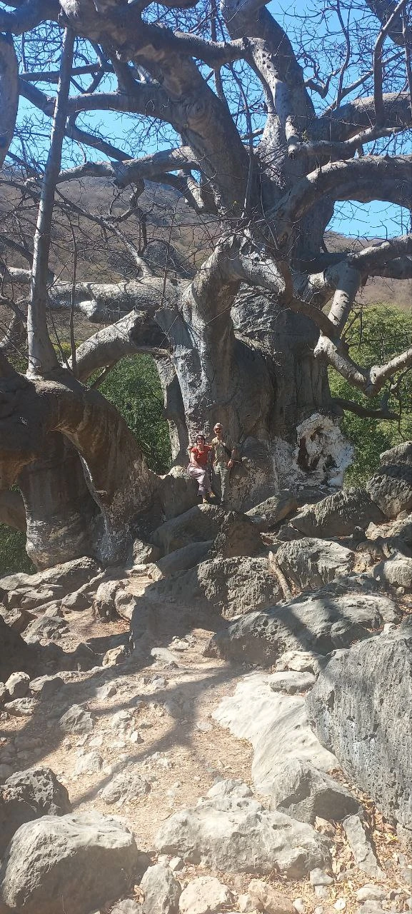 Посетили 14.01.26 экскурсию Восточная Салала с гидом Надеждой, было настолько комфортно, что мы совершенно не заметили