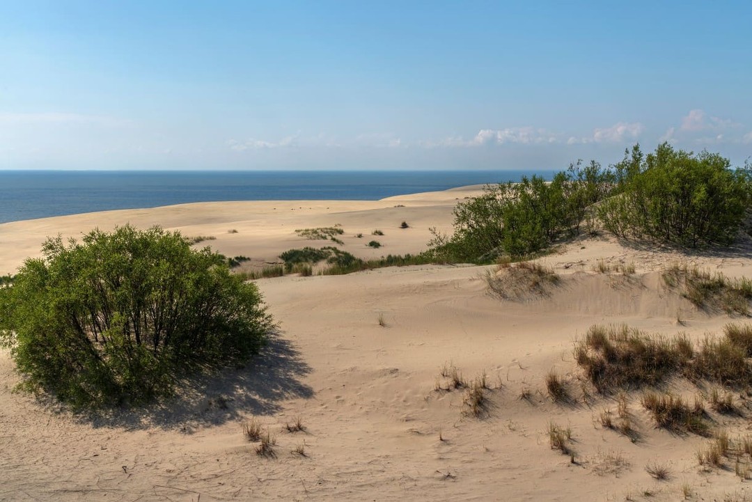 Дюны, высота Мюллера