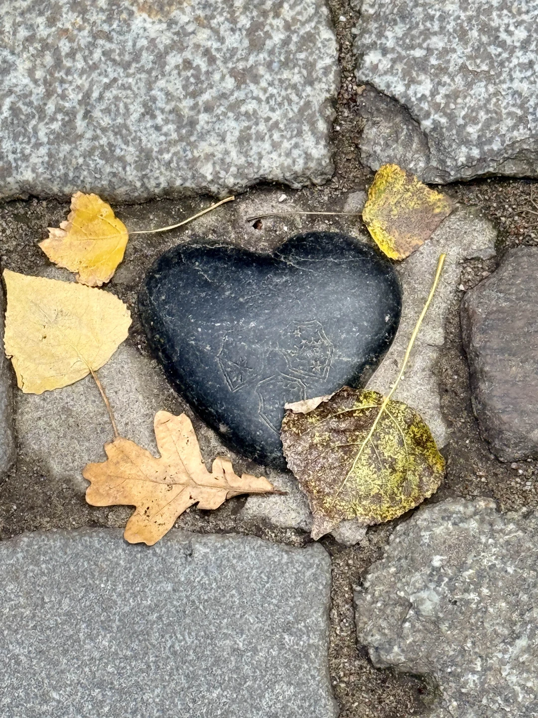 По Калининграду - с гидом-историком и хомлинами (Сергей)