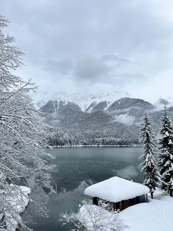 Старинная красота Абхазии в однодневном автотуре из Сочи