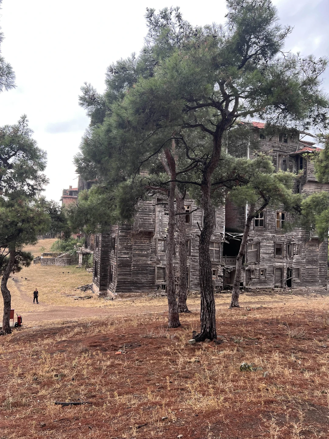 Это была потрясающая экскурсия! Очень душевная, интересная, колоритная. Миная показала нам совсем другой мир рядом со