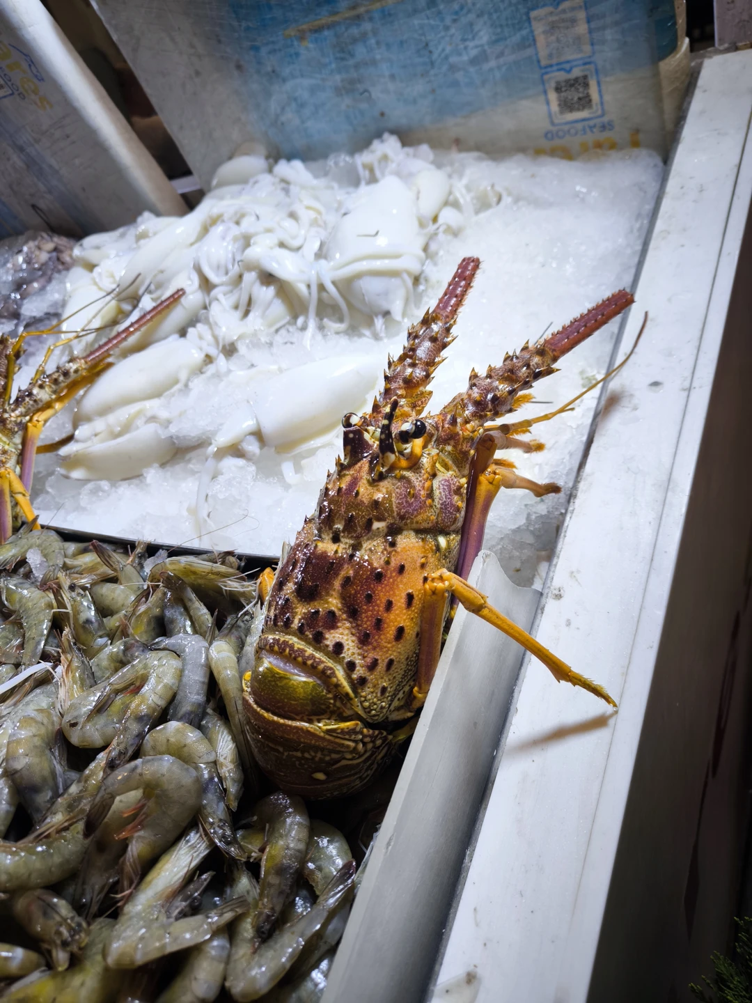 Нам очень понравилась экскурсия, еда, кофе. Но больше всего наш гид Ияд! Столько интересных, познавательных и