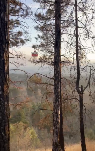 В Кисловодске впервые, и хотелось гулять по Кисловодскому парку не просто блуждая, а с понимаем. Выбрали