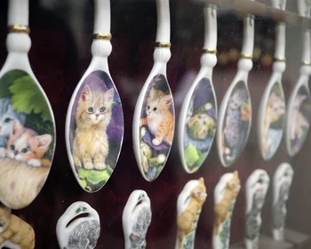 Экскурсия по Владимиру и церковь Покрова на Нерли