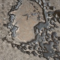 Фото отзыва 3: экскурсия "В Уффици о гениях и интригах итальянского Ренессанса"
