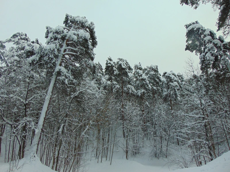 Знакомьтесь, Звенигород