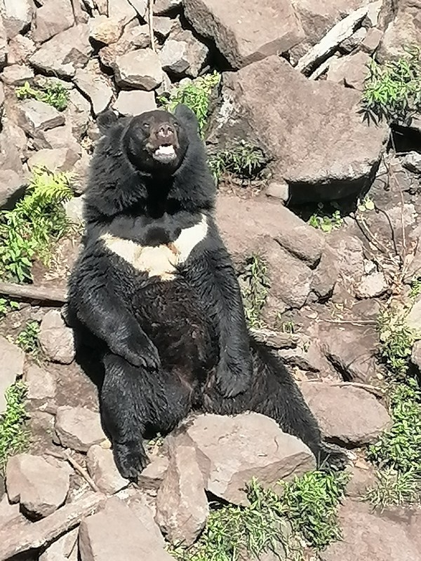 Виды Бухты Стеклянная и Шамора, ущелье Дарданеллы и сафари-парк за 1 день