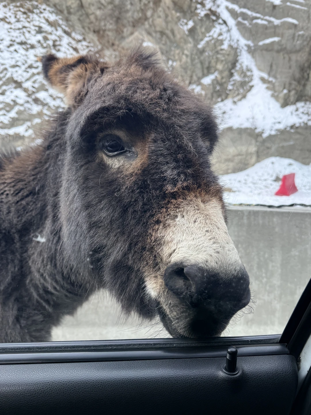 1 день, 3 ущелья, 1001 эмоция (Снежана)