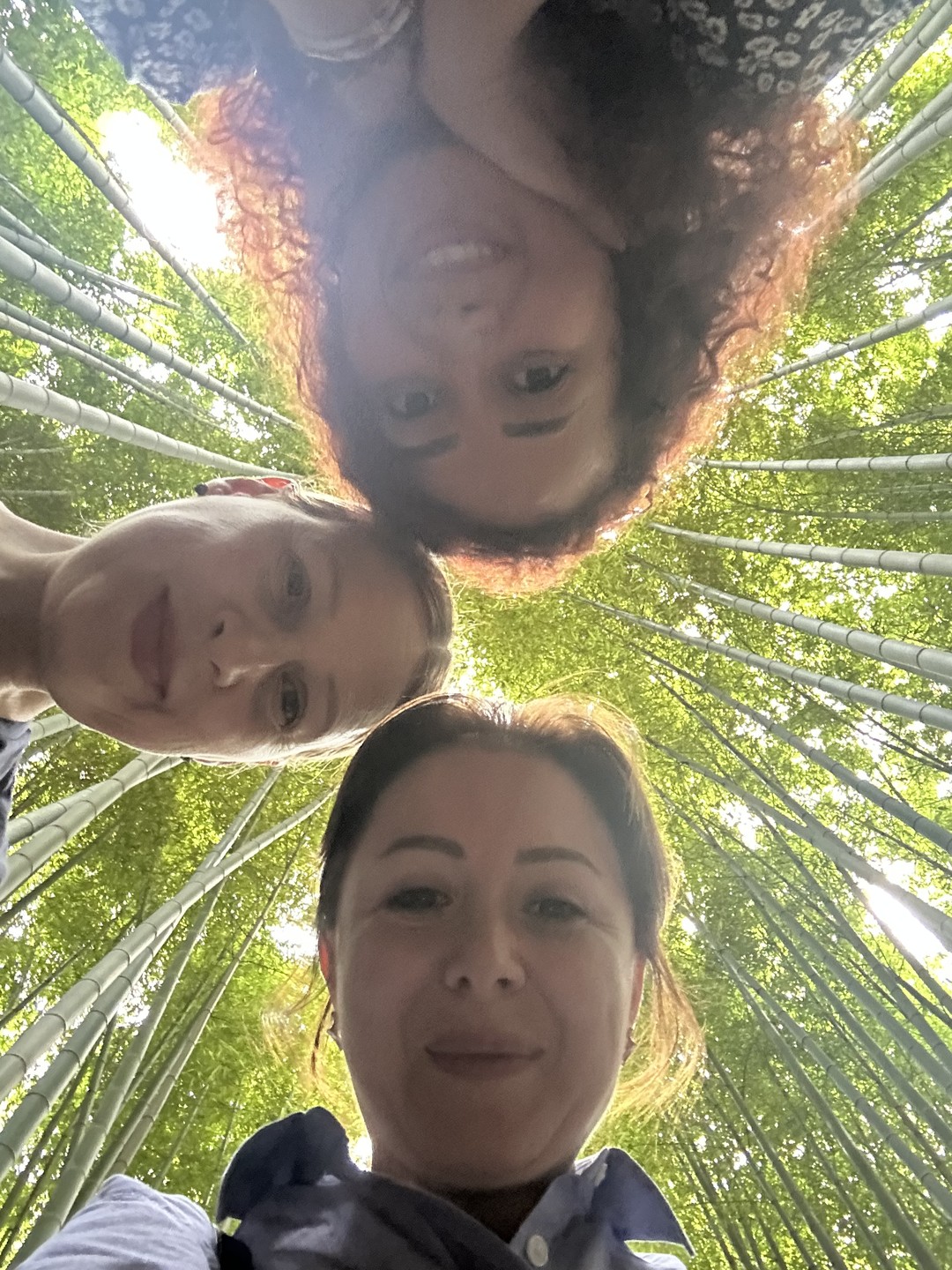 Культовые памятники Киото (Nigar)