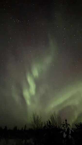 Поймали северное сияние! В тот день шансы были 50 на 50, но мы поехали и не