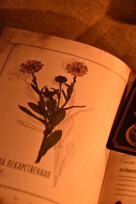 Иммерсивный вечер с мастер-классом «Спиритический салон» в Туле