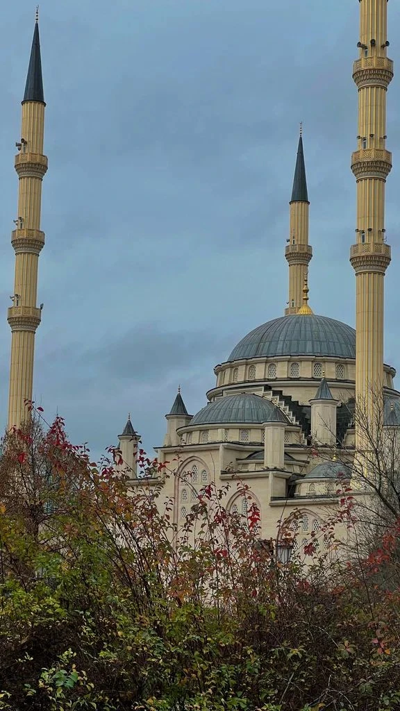 Ездили на экскурсию Грозный, Шали и Аргун. в Чечне никогда не были, гид у нас был