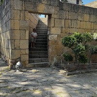 Фото отзыва 2: экскурсия "Дербент и каспийский монстр «Лунь» из Избербаша"