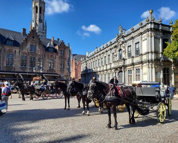 Гент, Брюгге и возвращение в Париж