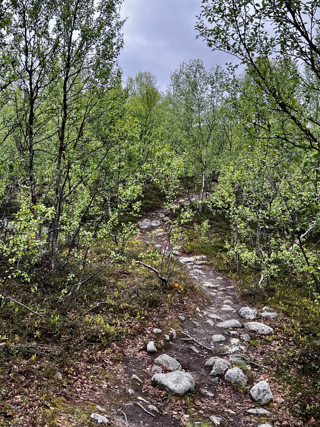Обожаю природные экскурсии и здесь не прогадала. Поход к водопадам (причём они разные) стал приятной прогулкой