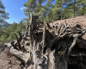 Путь к Гедельме и древняя крепость в горах