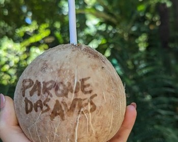 Водопады Игуасу со стороны Аргентины, перелёт в Салвадор