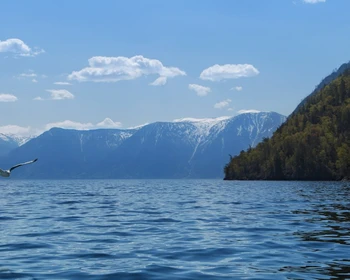 Урочище Аккурум, отдых на Телецком озере