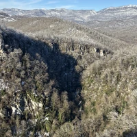 Фото отзыва 3: экскурсия "Нетуристический Сочи: индивидуальная экскурсия к природным красотам"