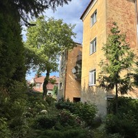 reviews img