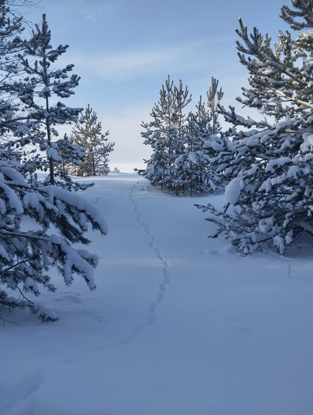 Невероятно интересная и познавательная экскурсия, Сергей замечательный рассказчик и кладезь полезной информации. Отправляясь с подругой на