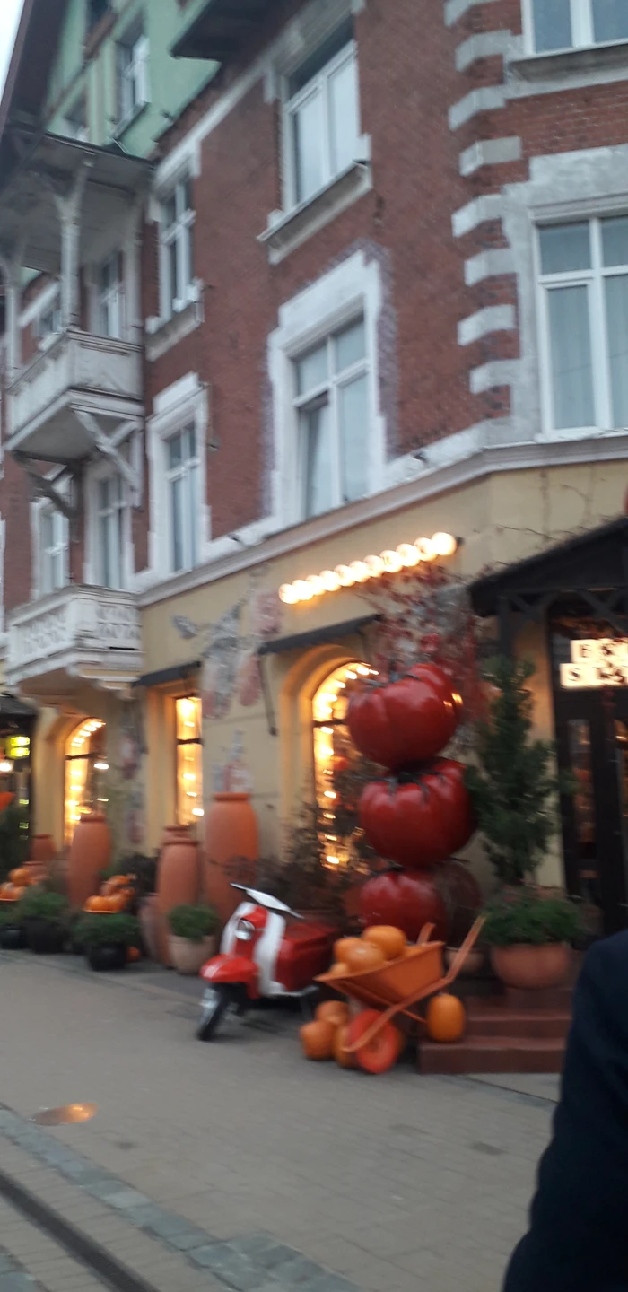 Утренняя Куршская коса, Зеленоградск и замок Нессельбек на автобусе (Эдуард)