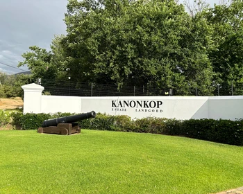 Регион Стелленбош, школа пинотажа и практика выбора блюд