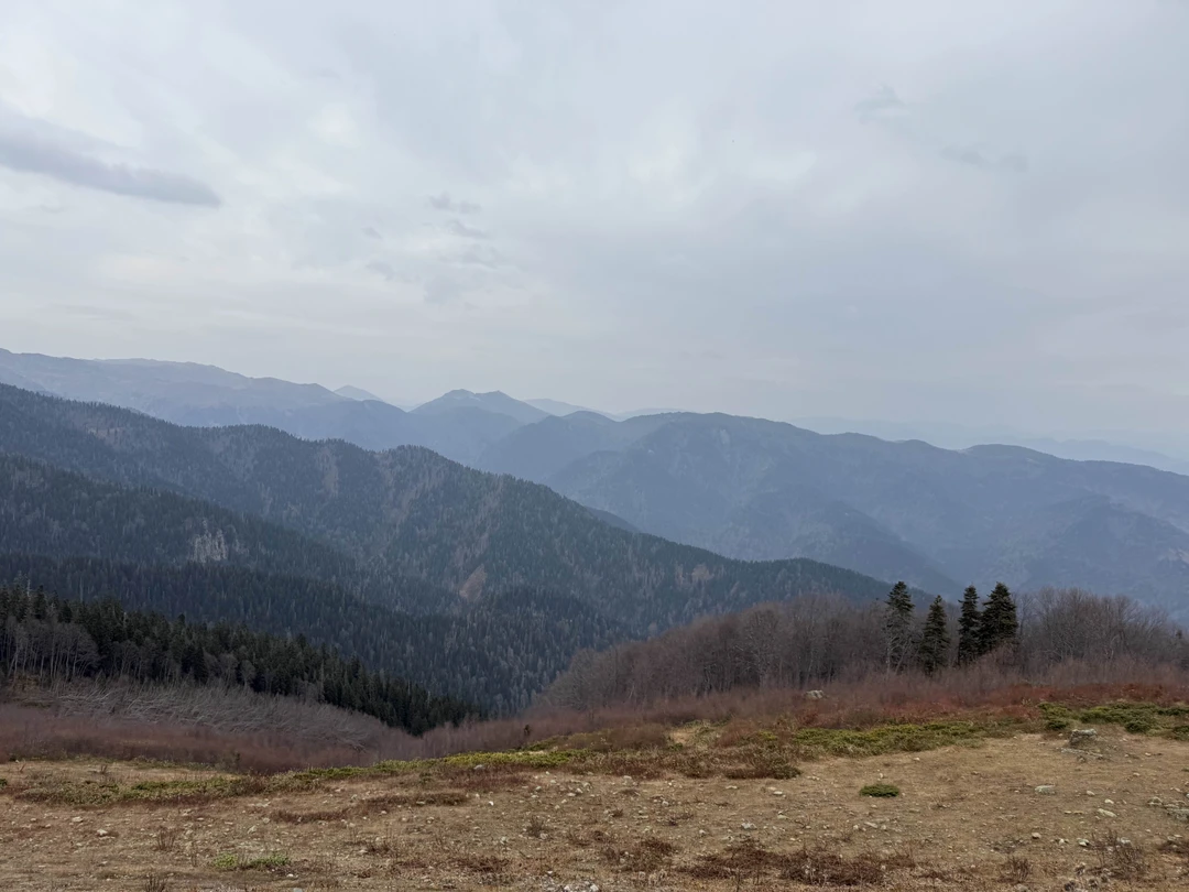 Очень интересная и насыщенная поездка. Было очень интересно пообщаться с Джаббой! Красиво и вкусно, даже не ожидали такого классного пикника!