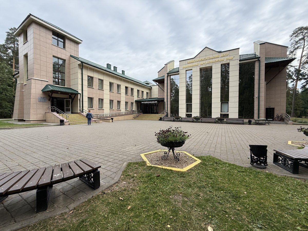 Трансфер из Бреста в Беловежскую пущу и обратно (13/23)