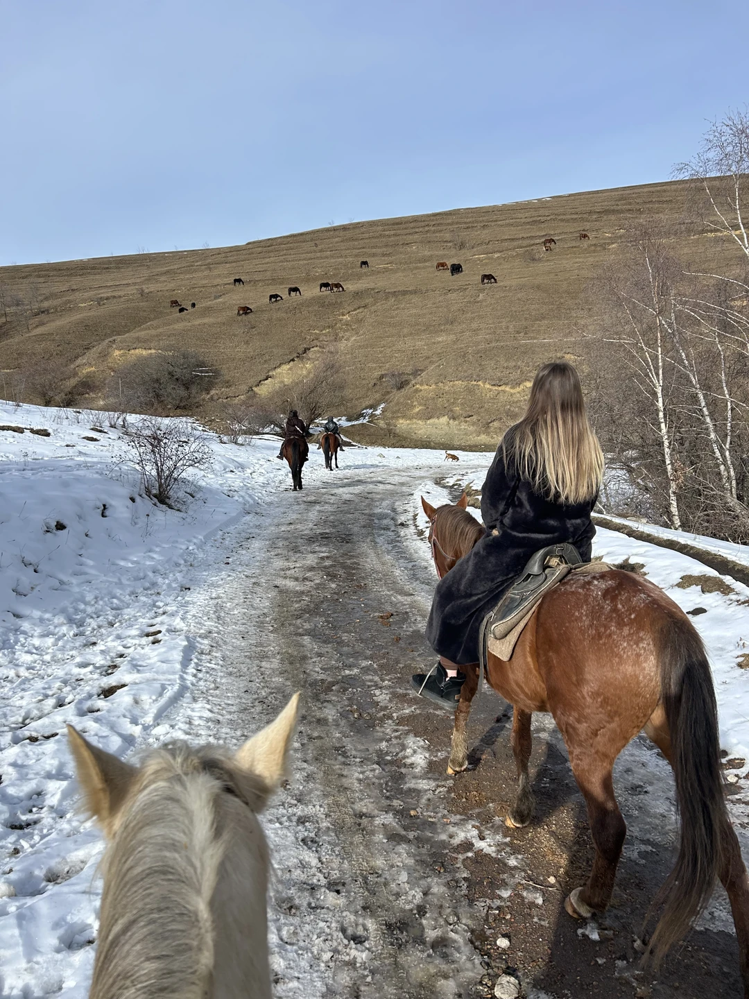 Потрясающая конная прогулка к Березовскому ущелью! Лошади были спокойные и надежные, маршрут очень живописный, а виды