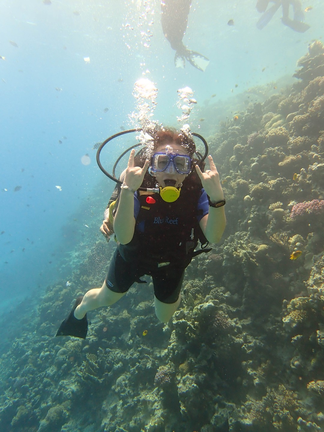 Индивидуальный дайвинг у берега Красного моря (Андрей)