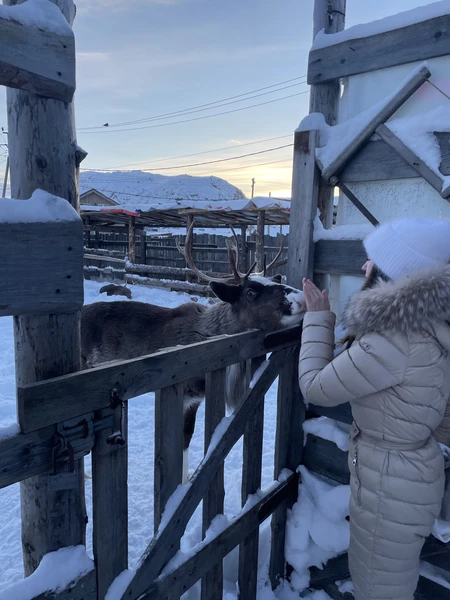Все прошло отлично, поездка понравилась, экскурсия была познавательная и разнообразная, наш гид Никита очень отзывчивый и