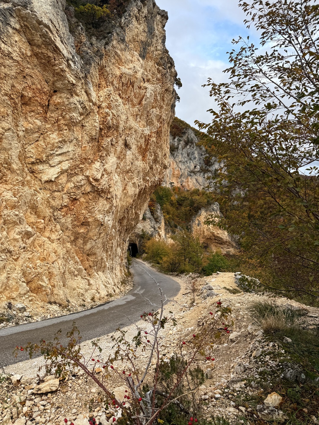 У нас был гид Александр. Экскурсия произвела на нас огромное впечатление. Александр отличный рассказчик и очень