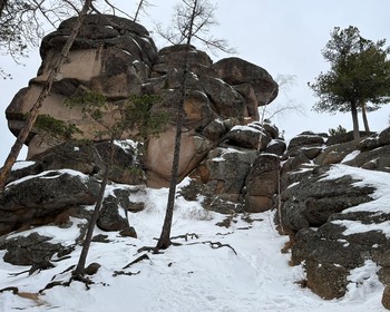 Прогулка по парку, возвращение в Красноярск