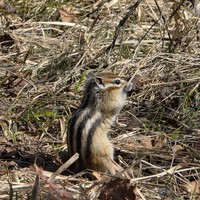 Фото отзыва 1: экскурсия "Тур-знакомство: топовые локации Пермского края"