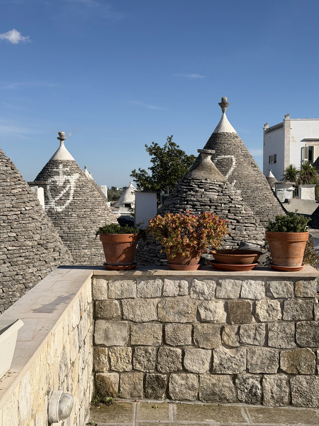 Мы очень благодарны Тимофею за насыщенный день, полный впечатлений. Тимофей - прекрасный рассказчик, много лет живет