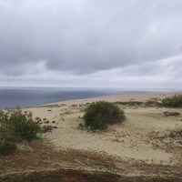 Фото отзыва 1: экскурсия "Куршская коса для детей и взрослых"