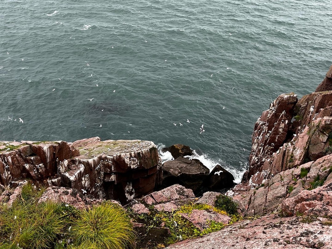 Большое спасибо за экскурсию!! Было очень интересно