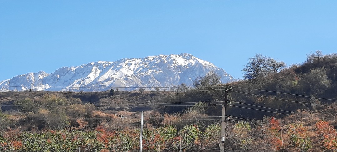 Путешествовали по городам Узбекистана компанией из 6 человек, разных по возрасту. Нашим прекрасным экскурсоводом в Хиве