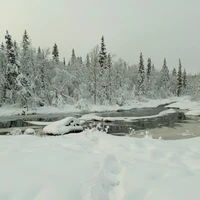 Фото отзыва 2: экскурсия "Зимнее сафари по кольской тундре"