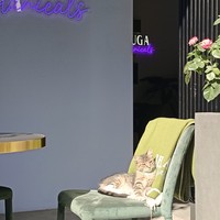 reviews img