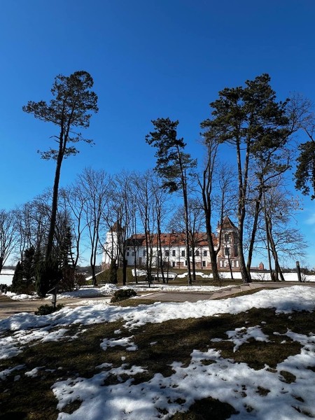 Групповая экскурсия в замки Мир и Несвиж (обед включен) (Наталия)