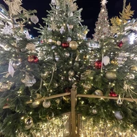 Фото отзыва 3: экскурсия "Магия новогодней Москвы с гаданием и чаепитием"