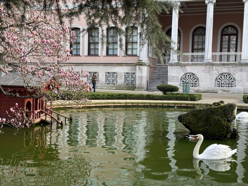 Вернулись из Стамбула 2 дня назад. Хочу выразить огромную благодарность Айдыну за потрясающую экскурсию! Для нас