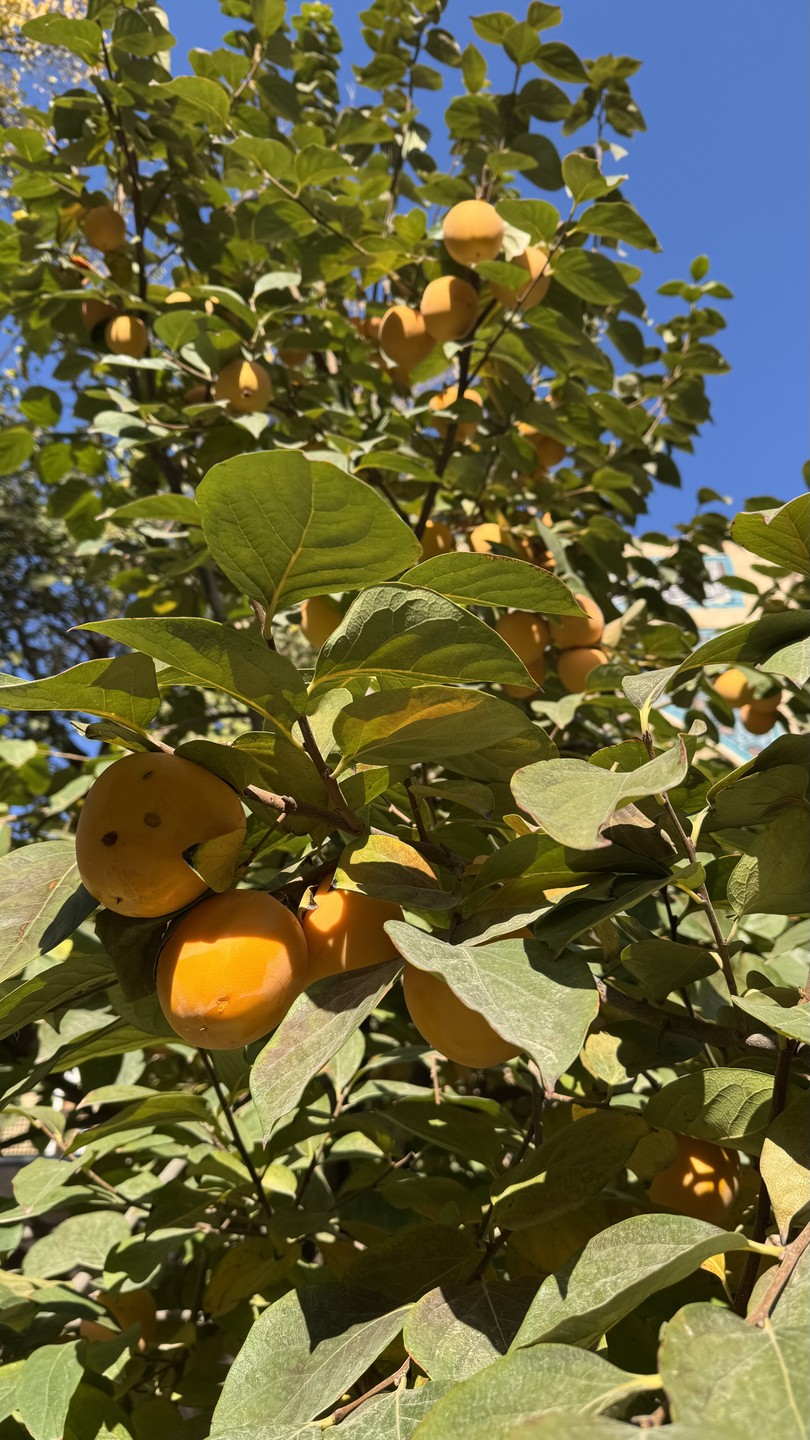 Отличная экскурсия, прекрасный гид Тахир, было интересно и познавательно!